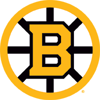 Boston Bruins Image